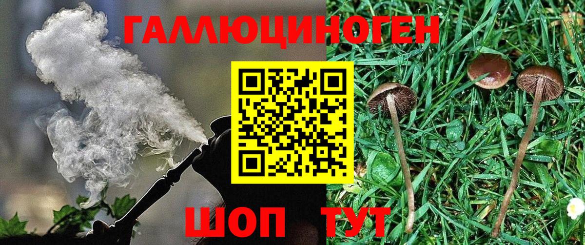 Мегион  Псилоцибиновые грибы Psilocybe  Вход с VPN  Псилоцибиновые грибы MAGIC MUSHROOMS 